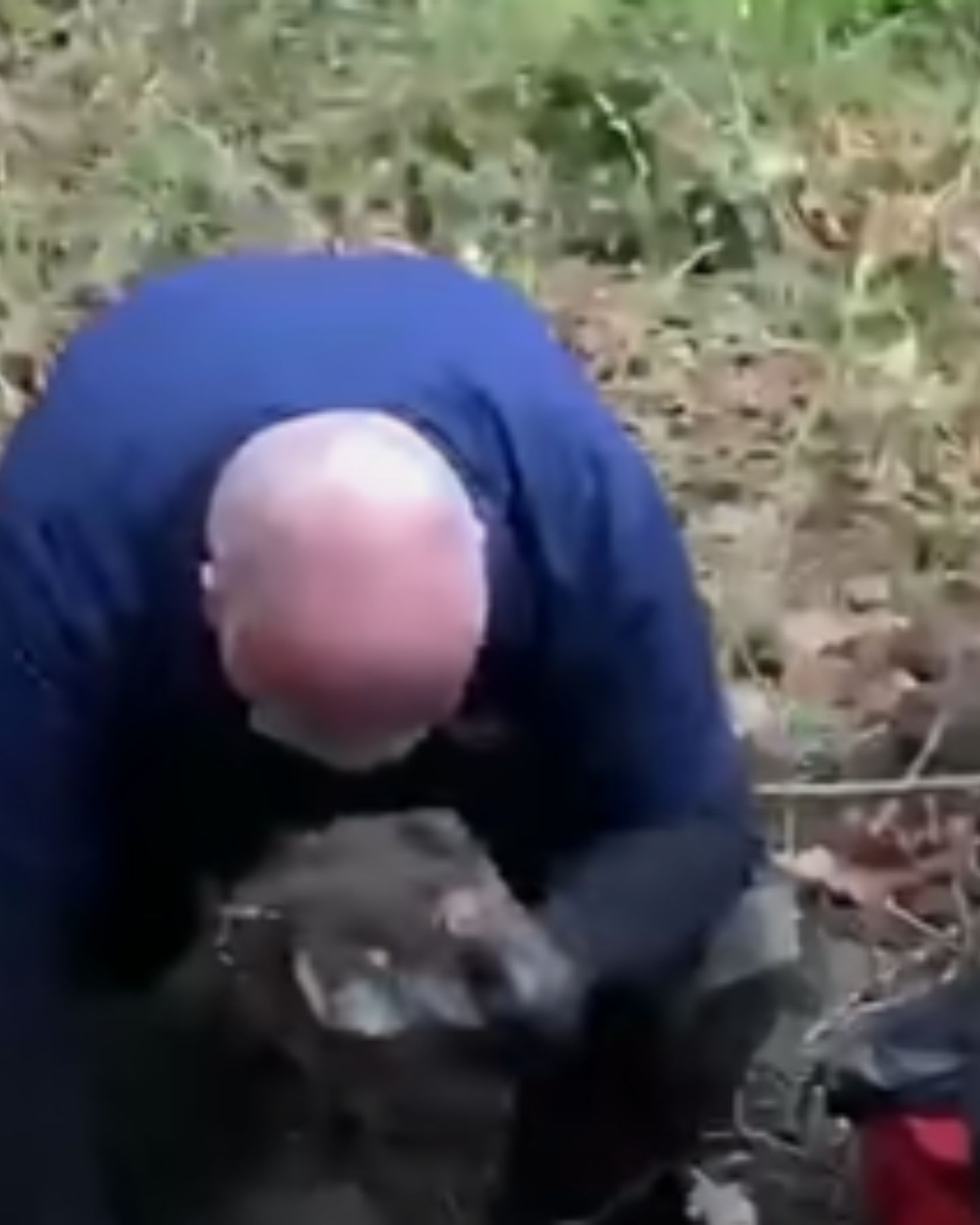 man saving a cat