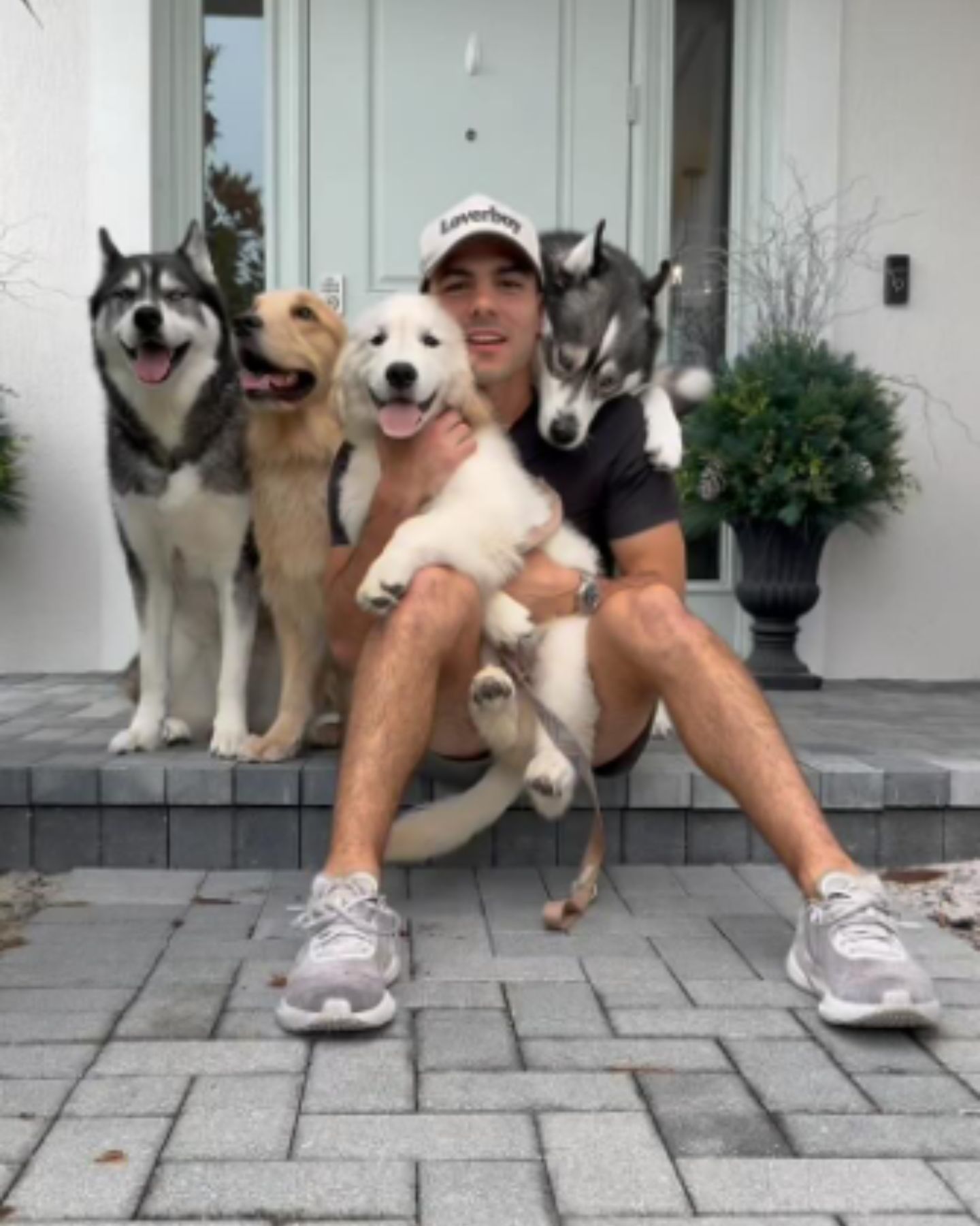 man sitting with four dogs