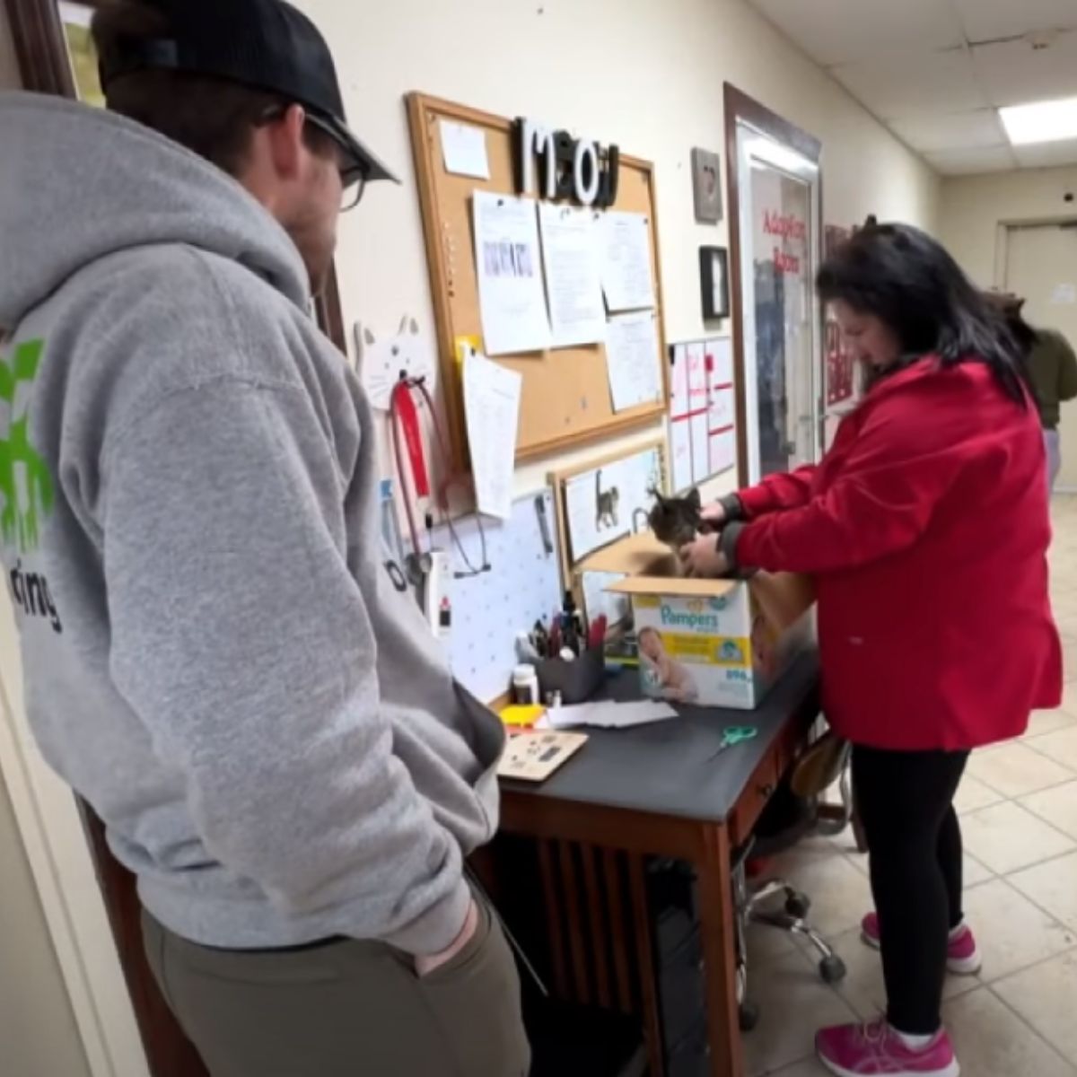 man takes injured cat to vet