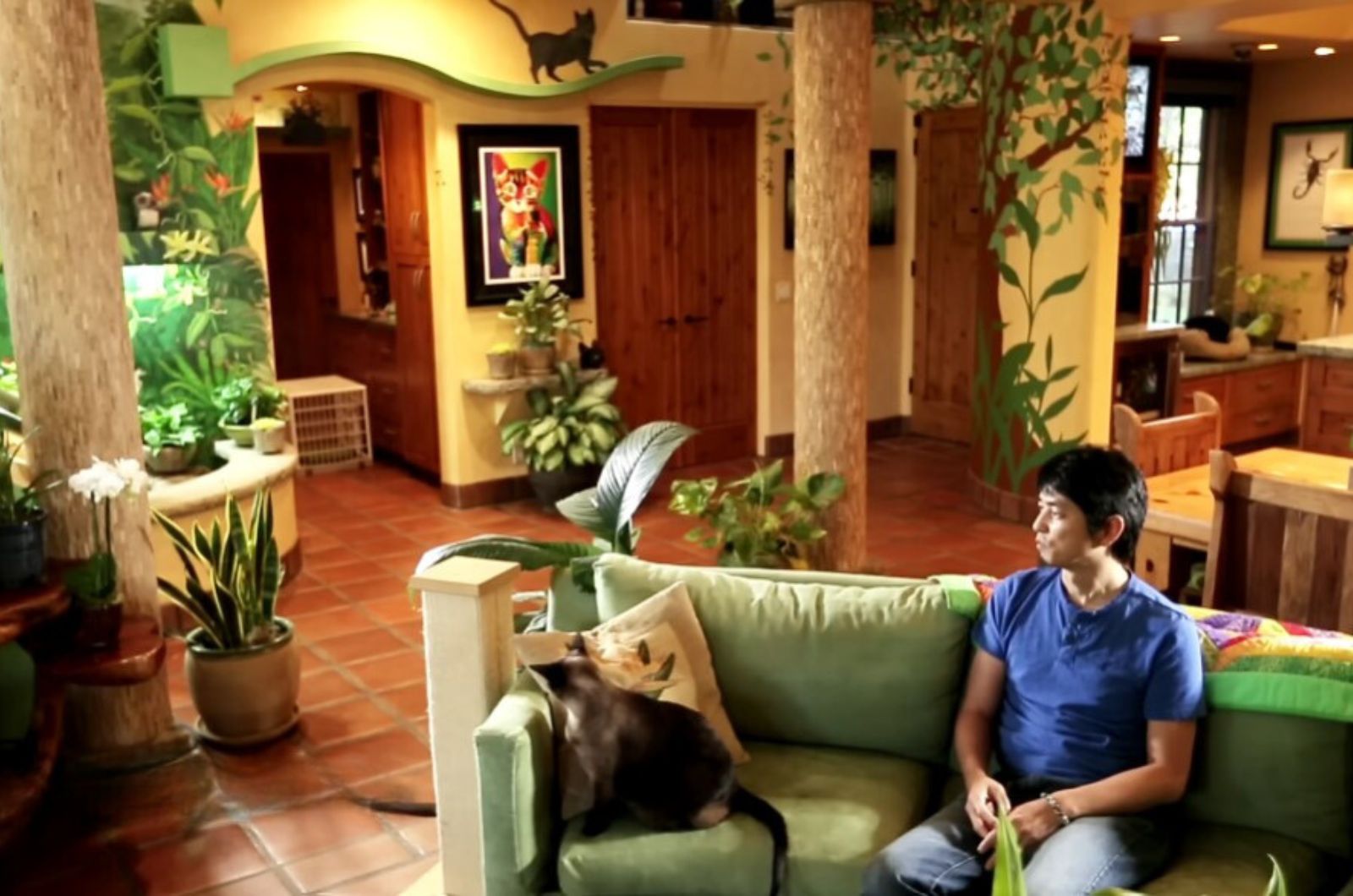 man with a cat is sitting on the sofa in the house