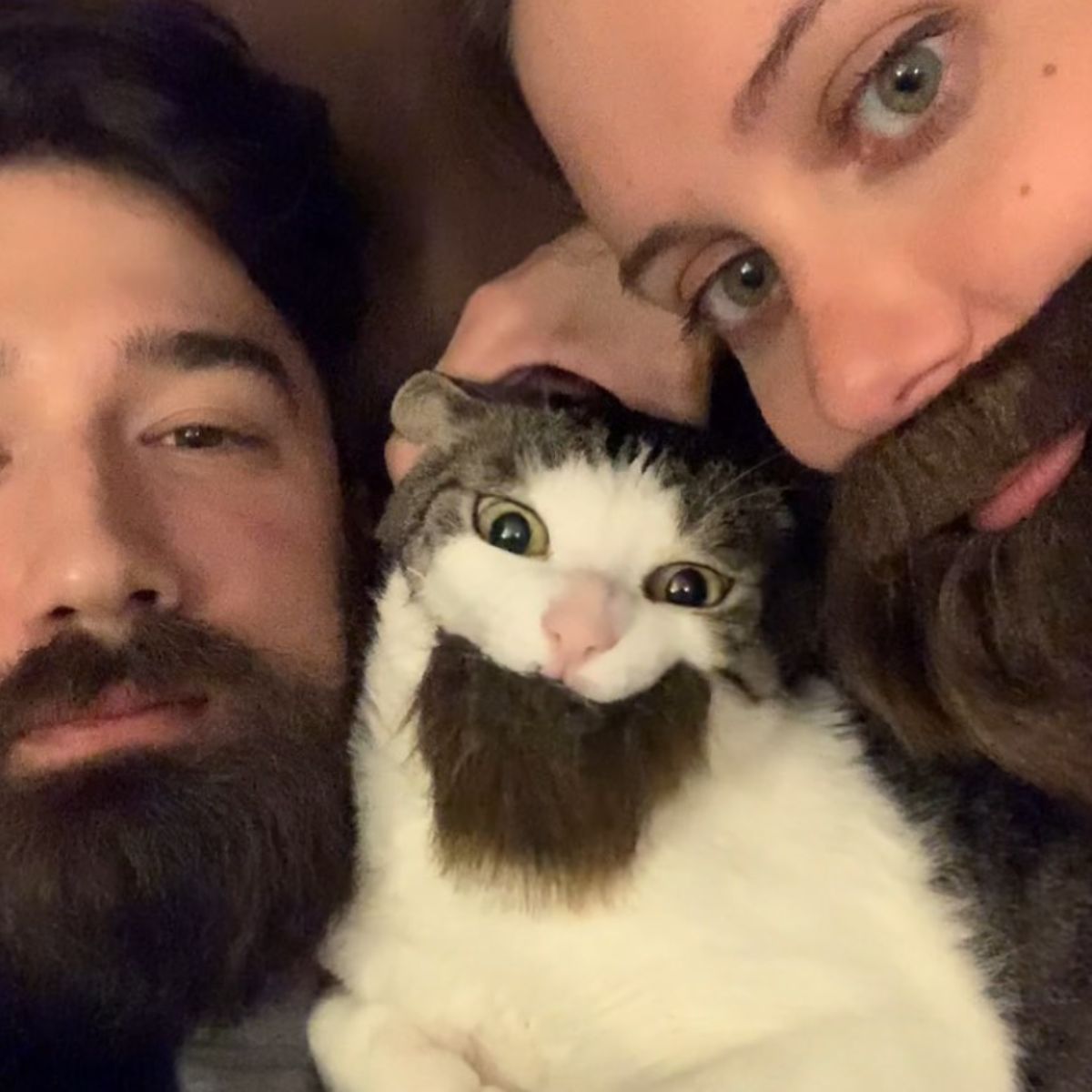 man woman and cat with fake beards