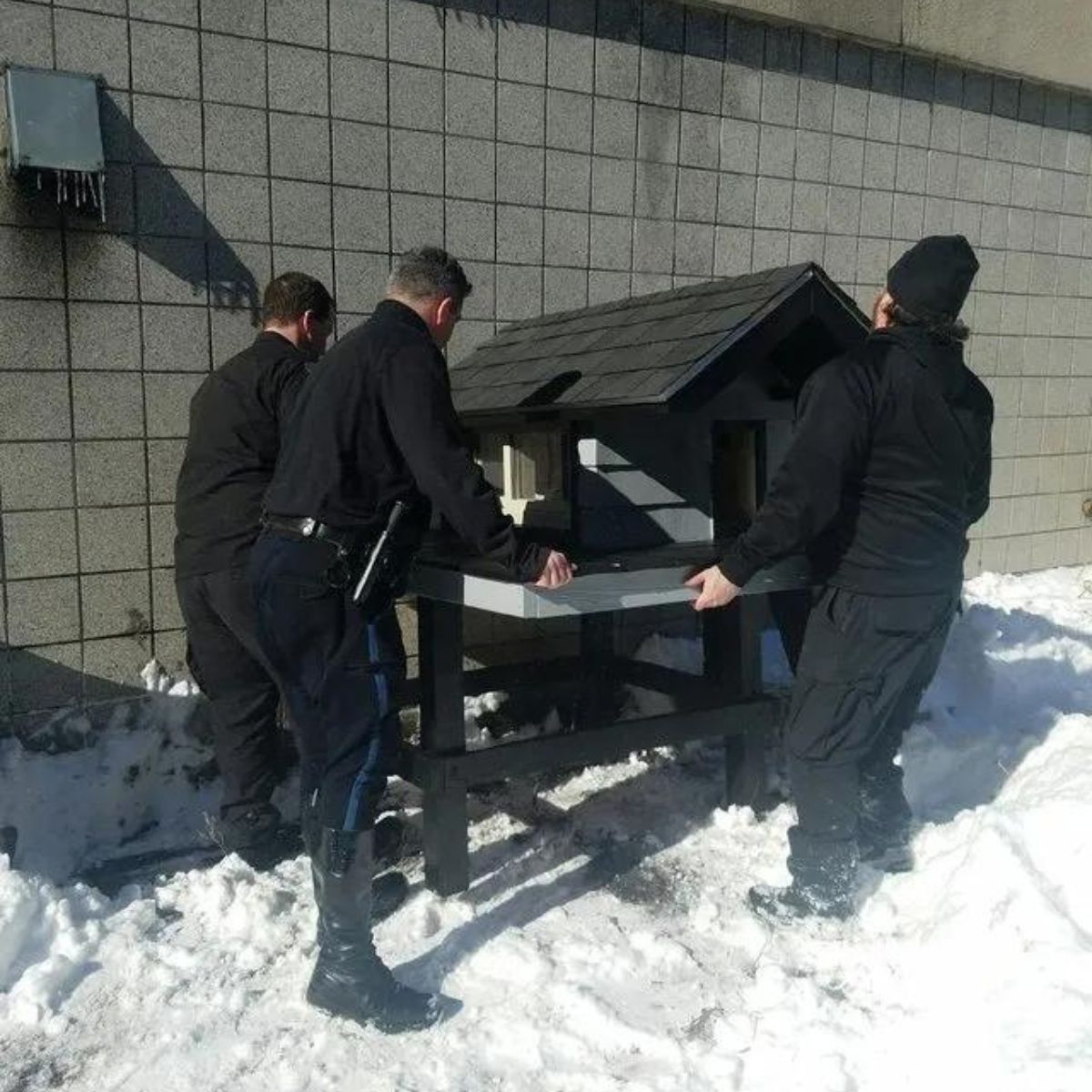 men carrying cat house