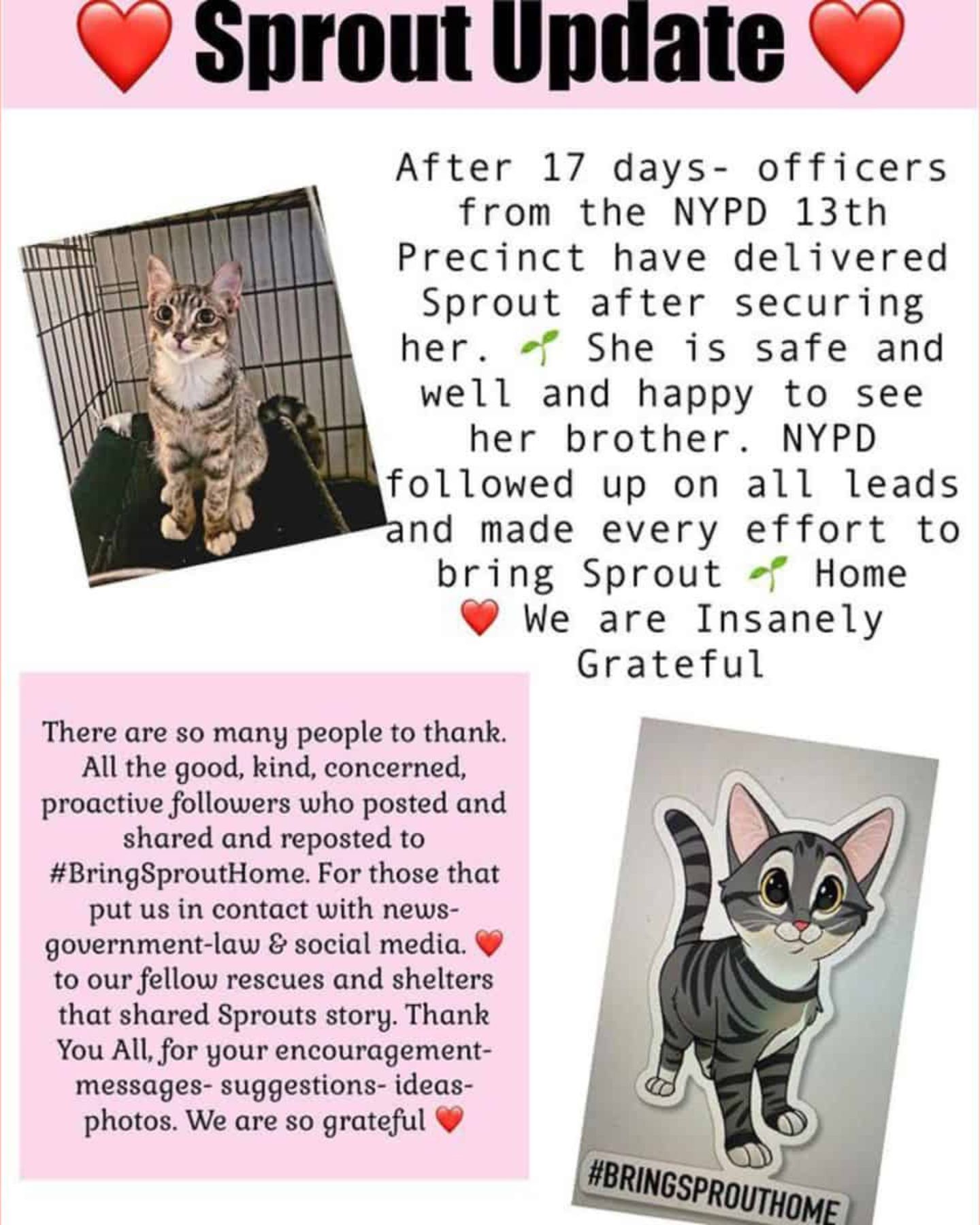 missing cat update