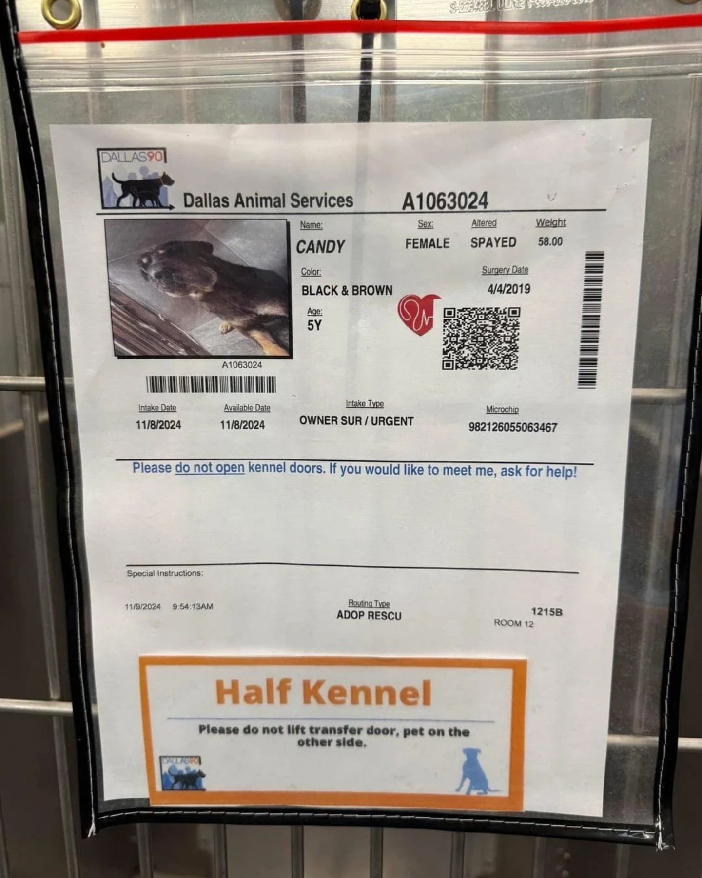 notification paper for the dog from the shelter