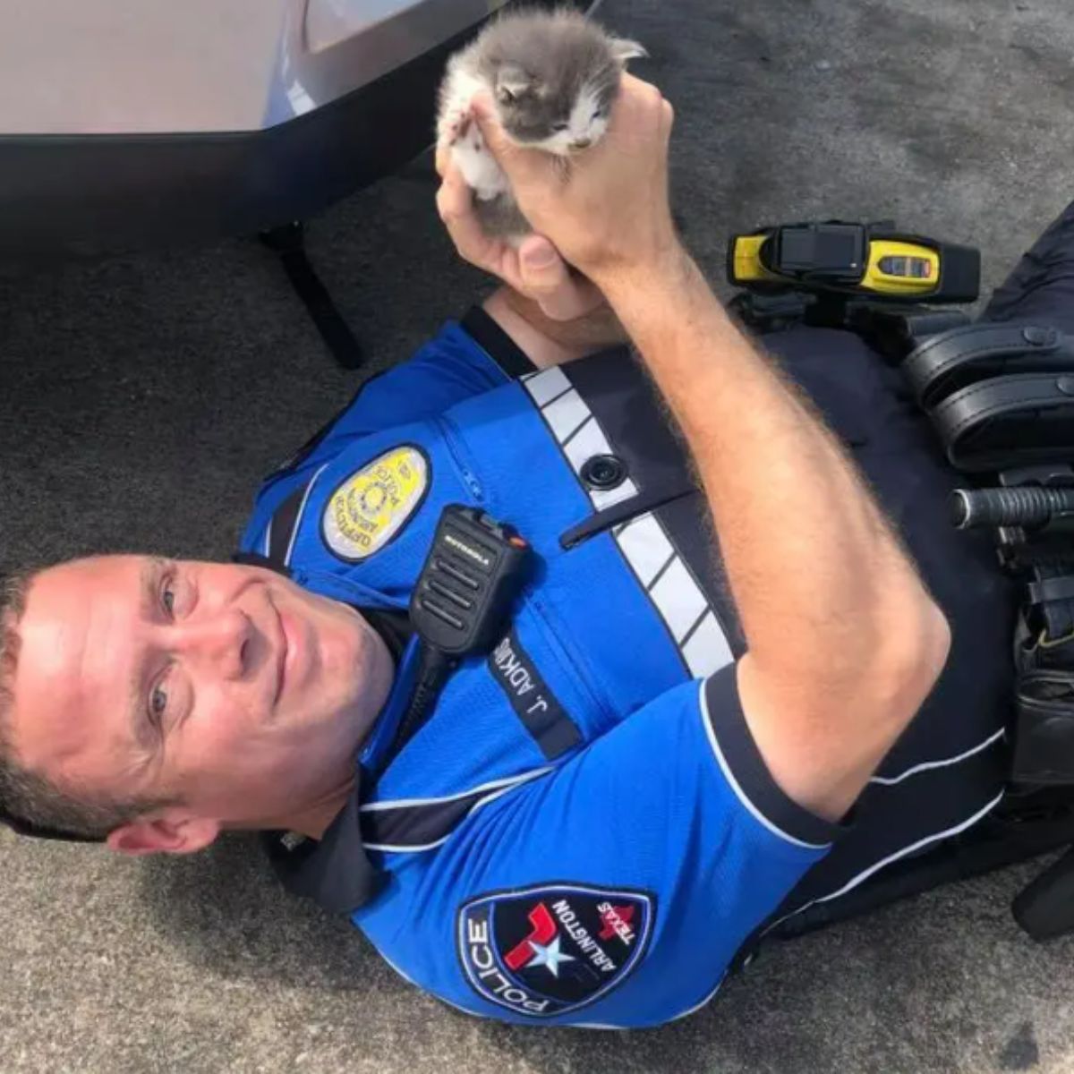 officer holding a kitten