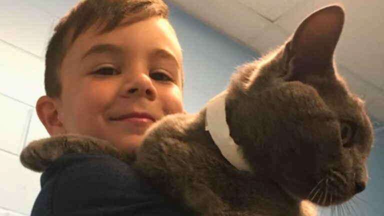 Oregon Boy Adopts The Saddest Shelter Cat, Only To Get Heartbroken After A Happy Time Together