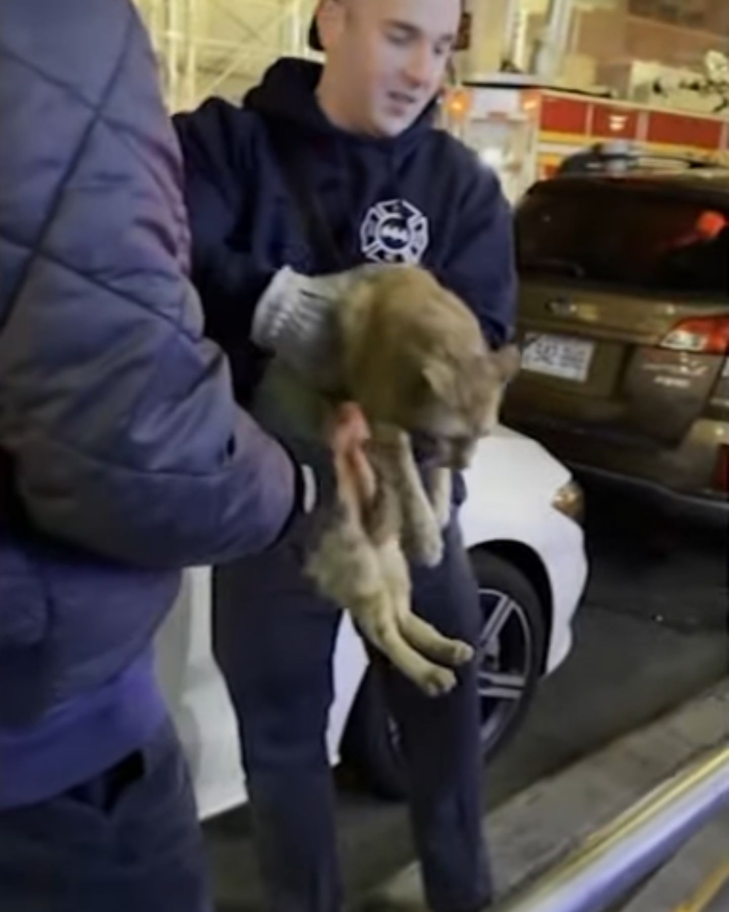 people are taking over a cat that jumped