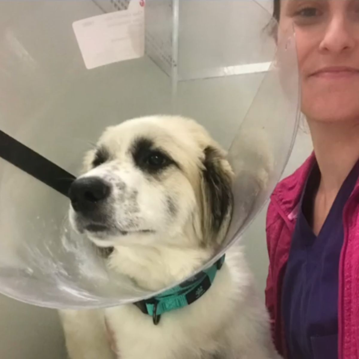 photo of woman and the dog