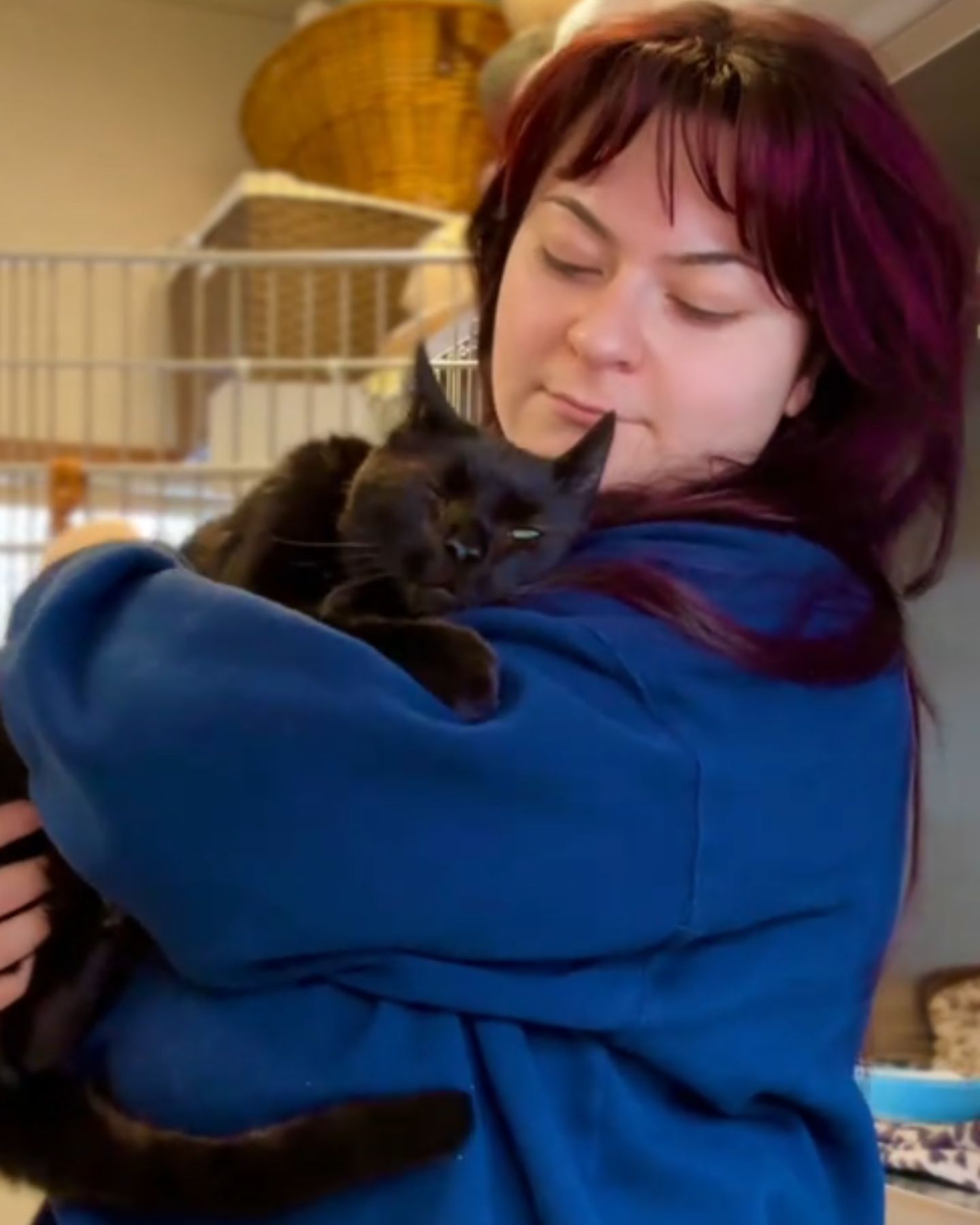 photo of woman holding the cat