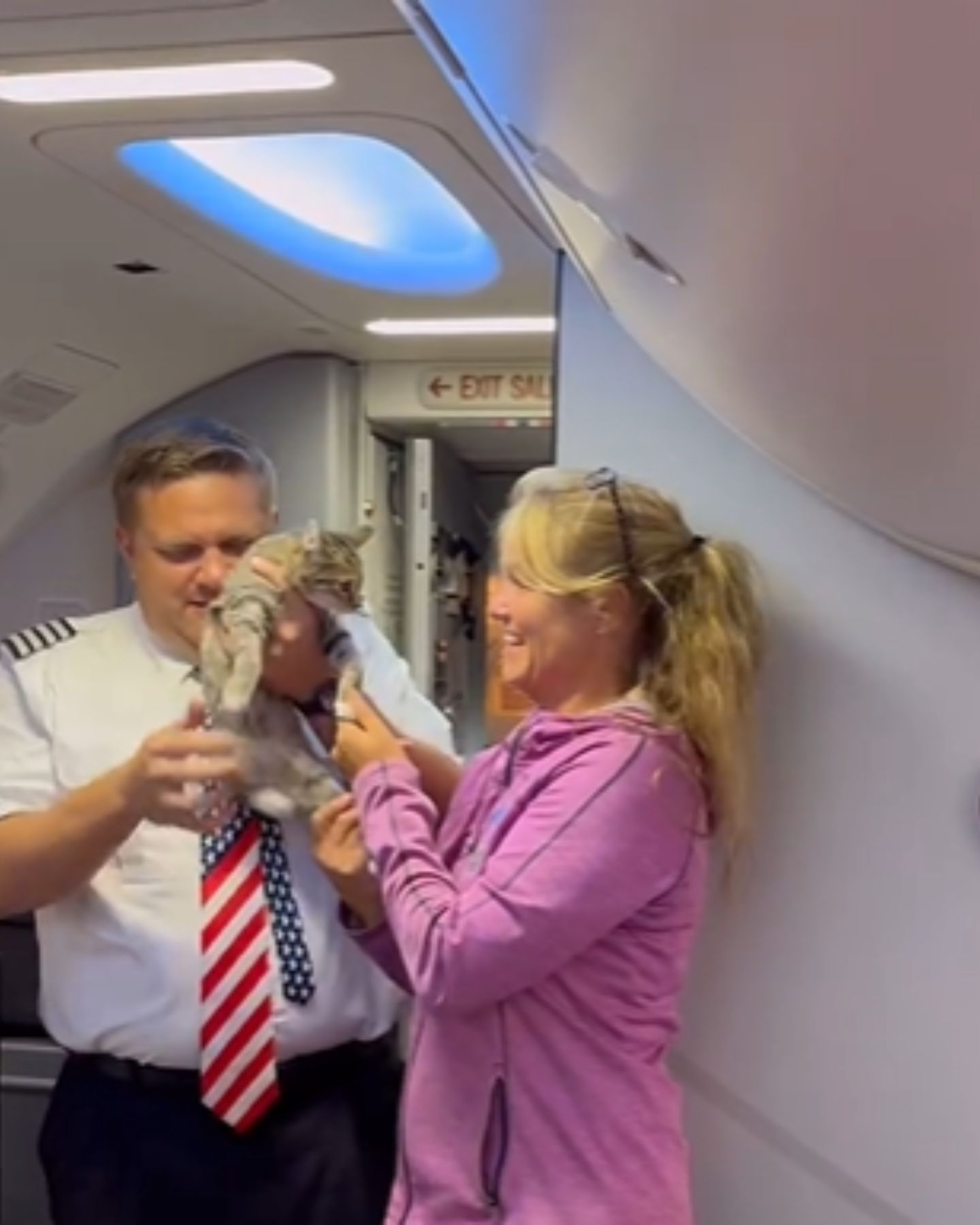 pilot meeting the kitten
