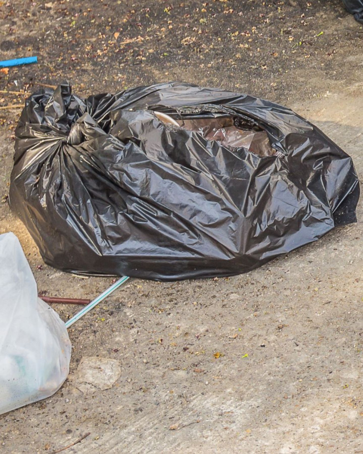 plastic bag