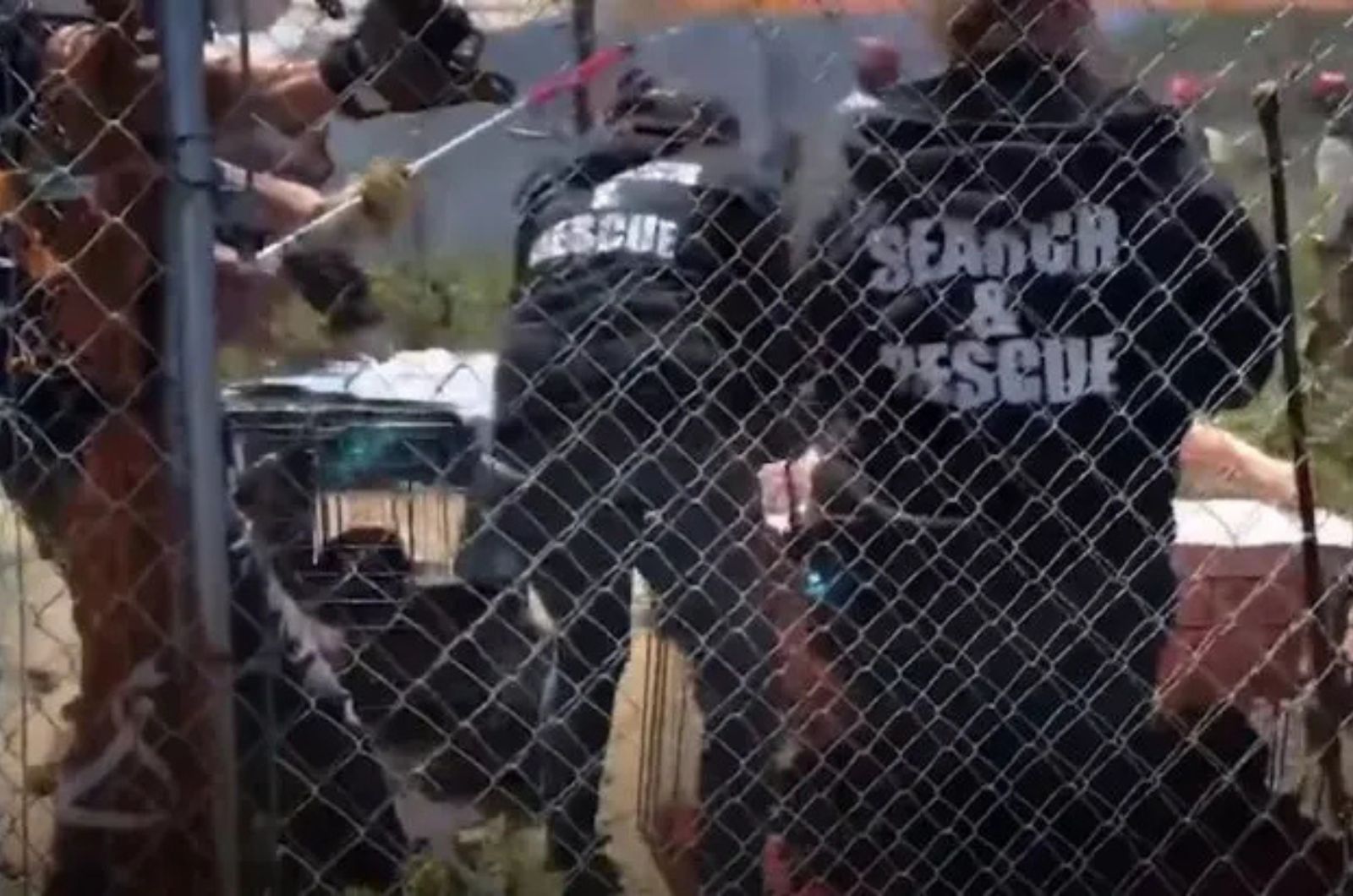 protectors in jackets