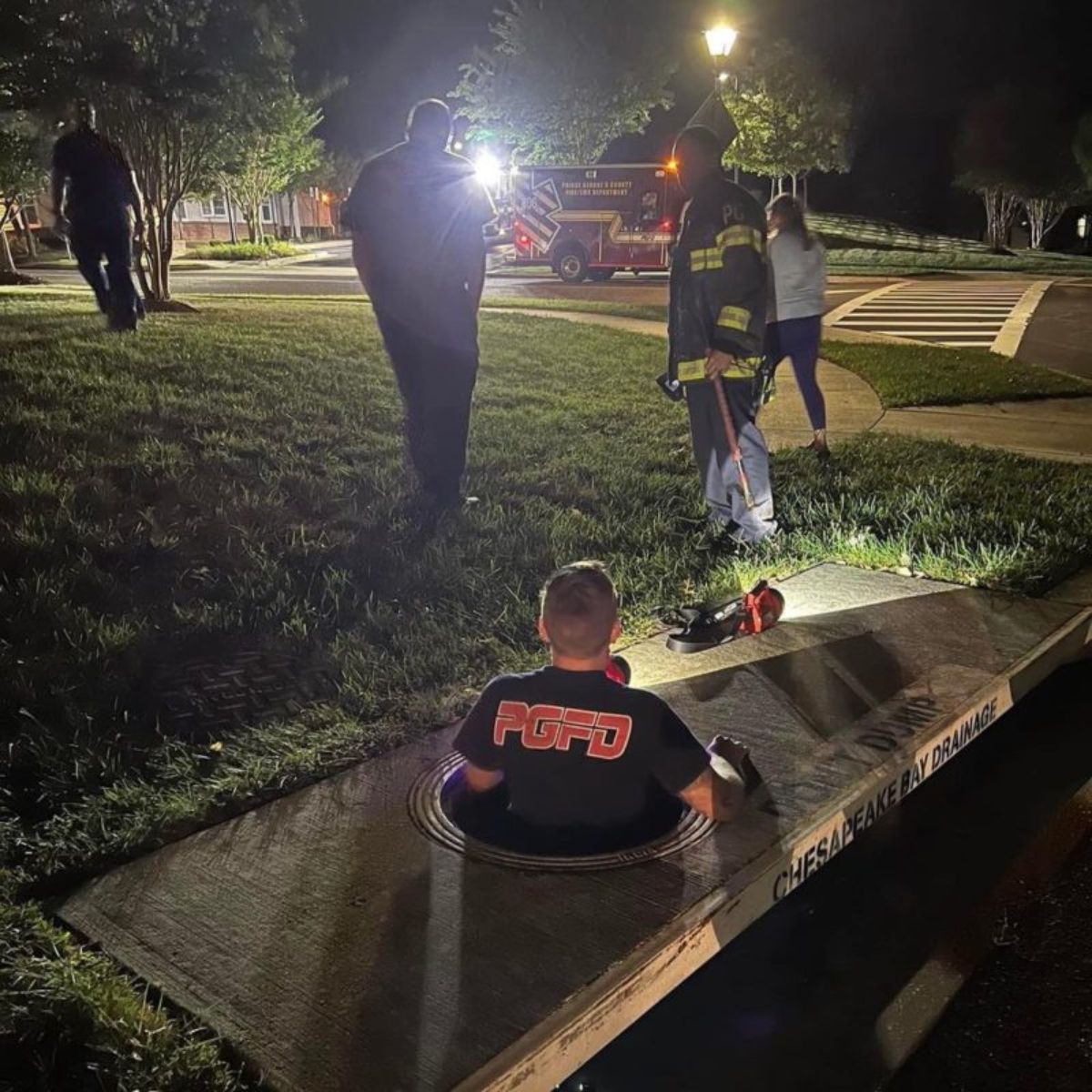 rescue team trying to save the kittens