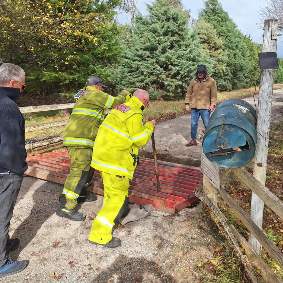 rescuers helping the animal