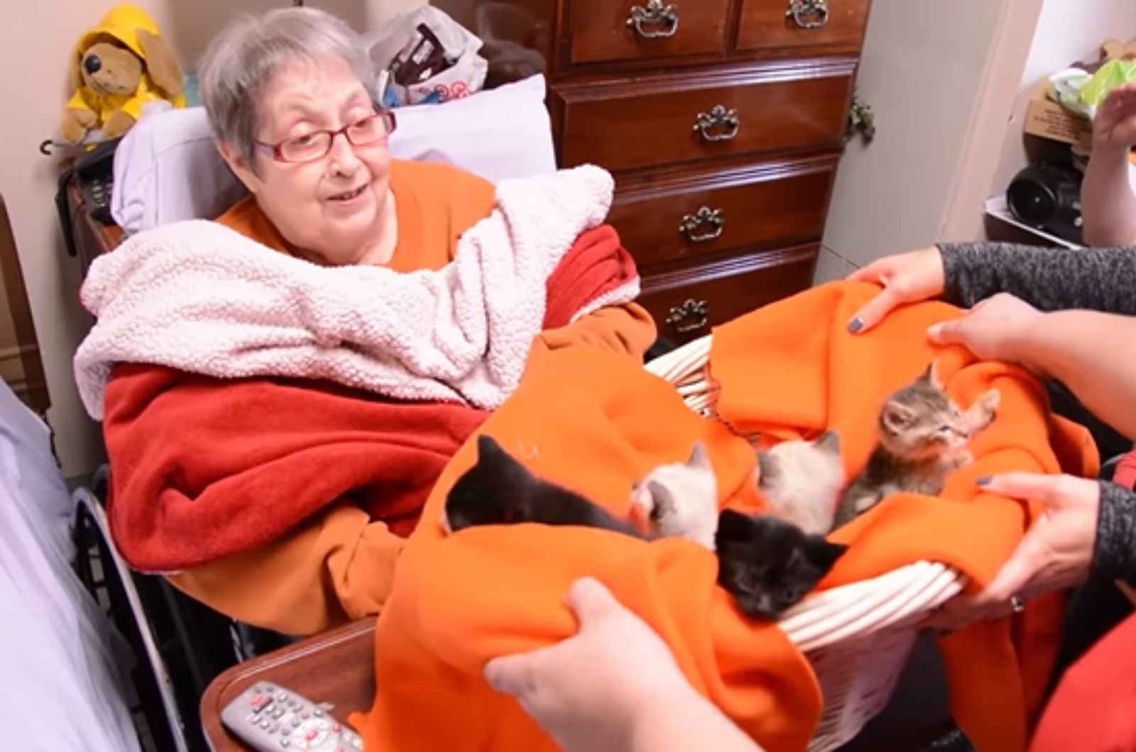 senior woman and kittens in bed