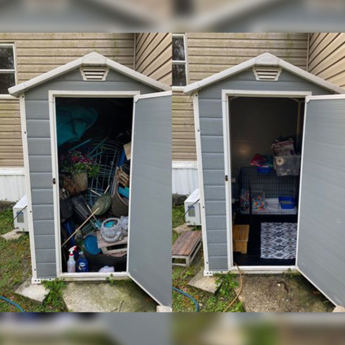 shed