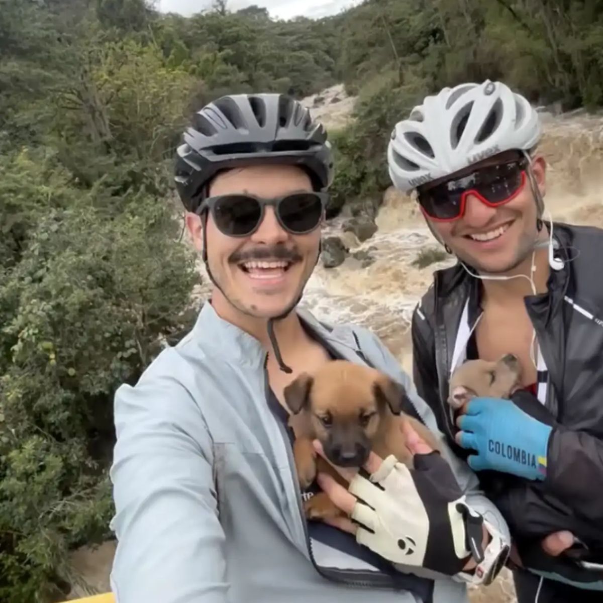 two bikers with puppies