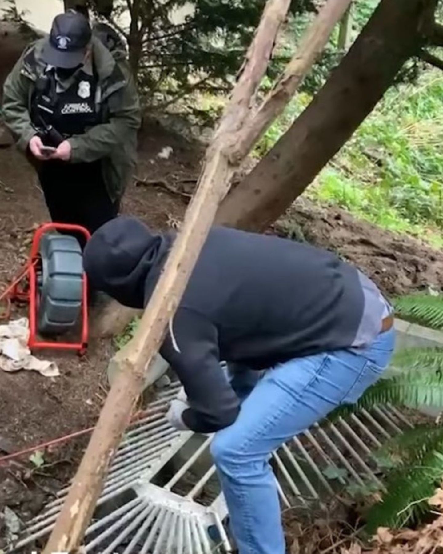 two men saving a cat
