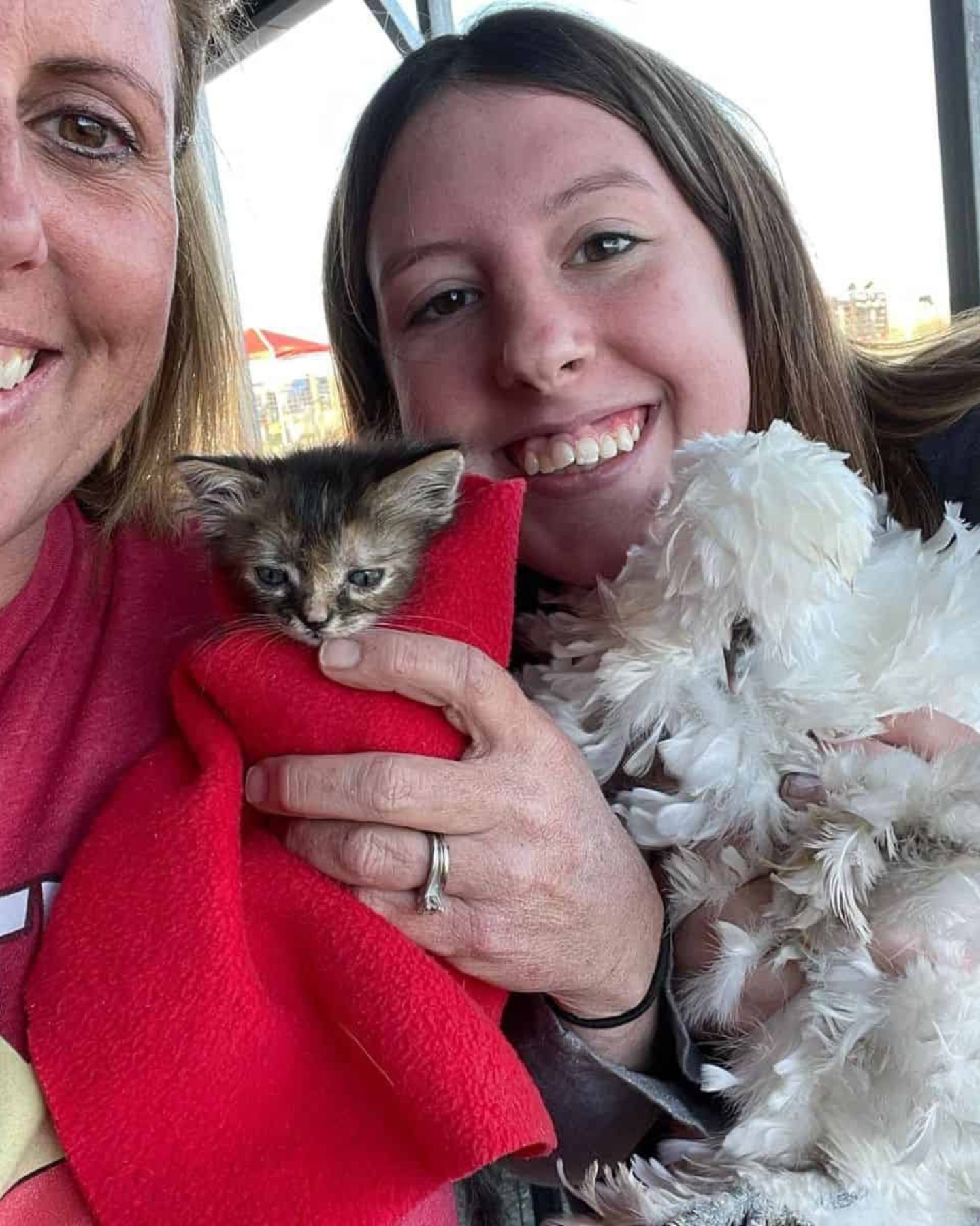 two women and a kitten