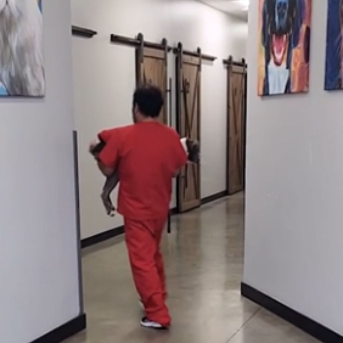 veterinarian is carrying a puppy in his arms