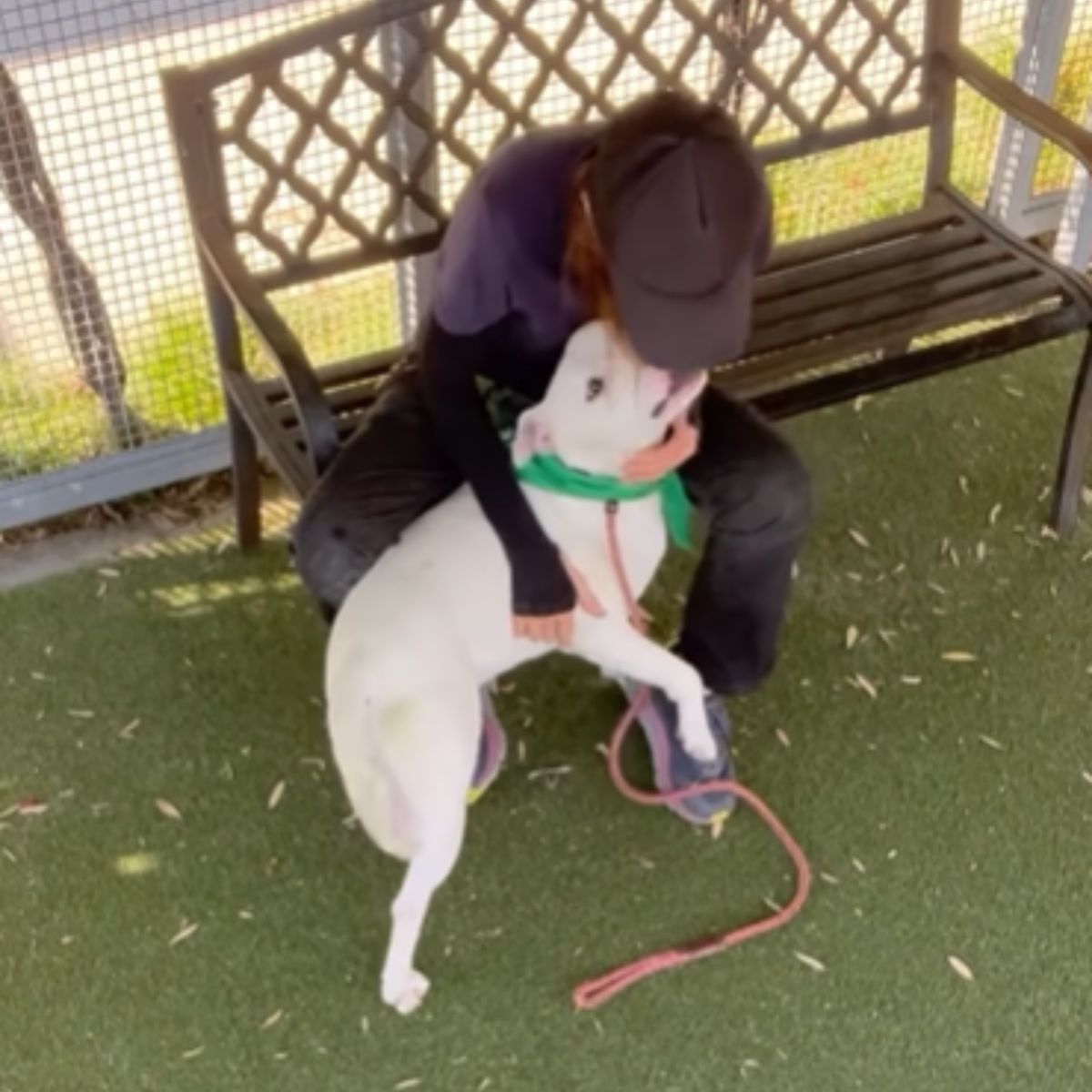 white dog with a man