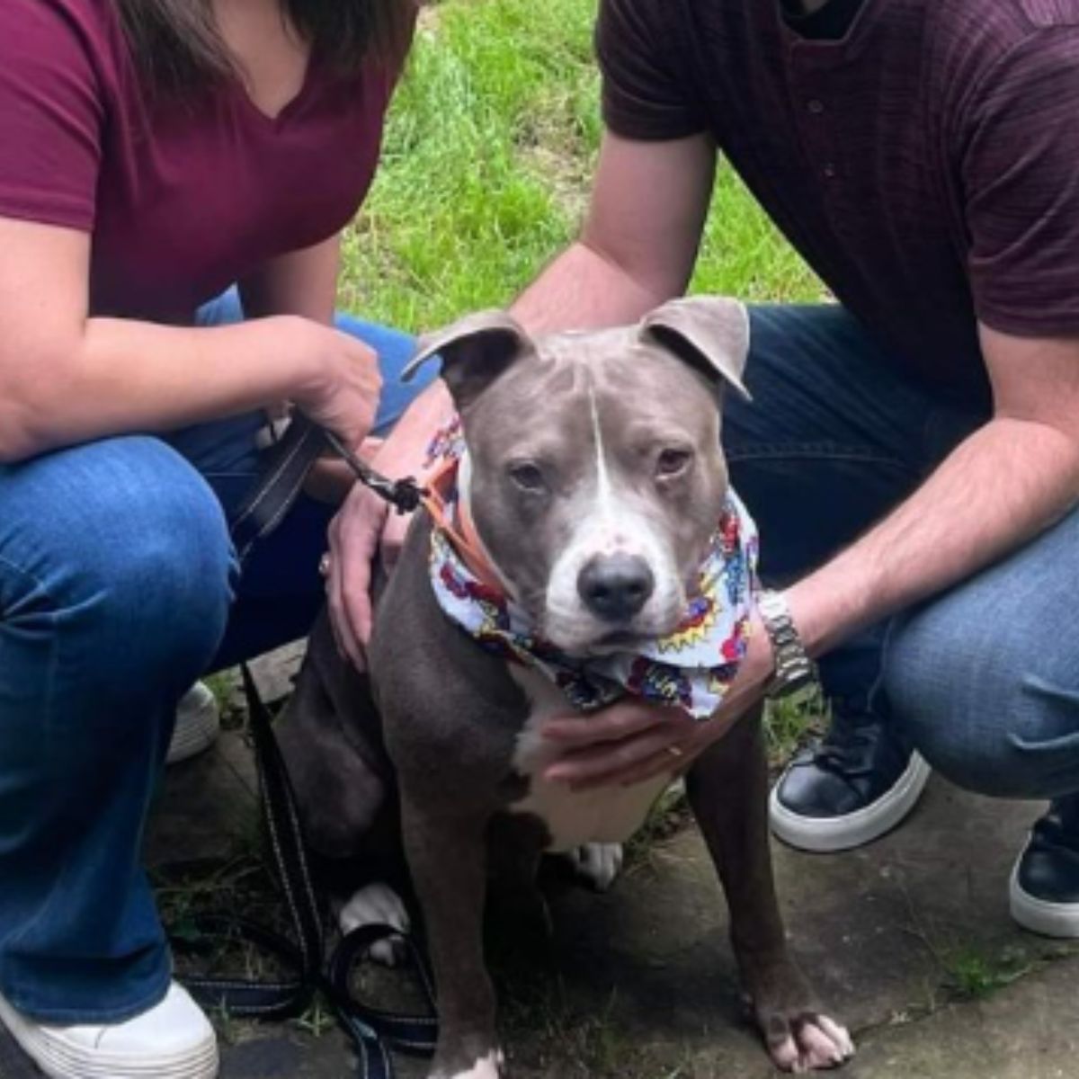 woman and a man are taking care of a dog