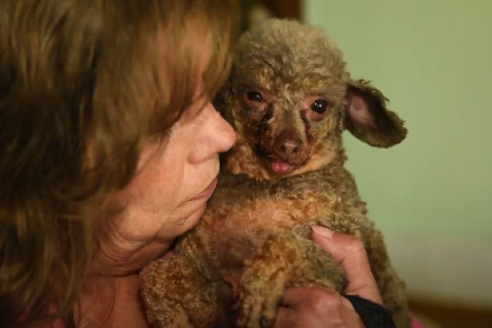 woman carrying a dog
