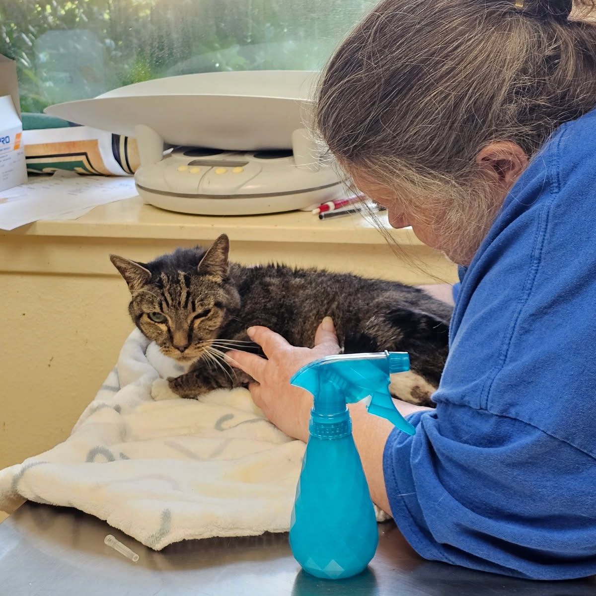 woman checking on the cat