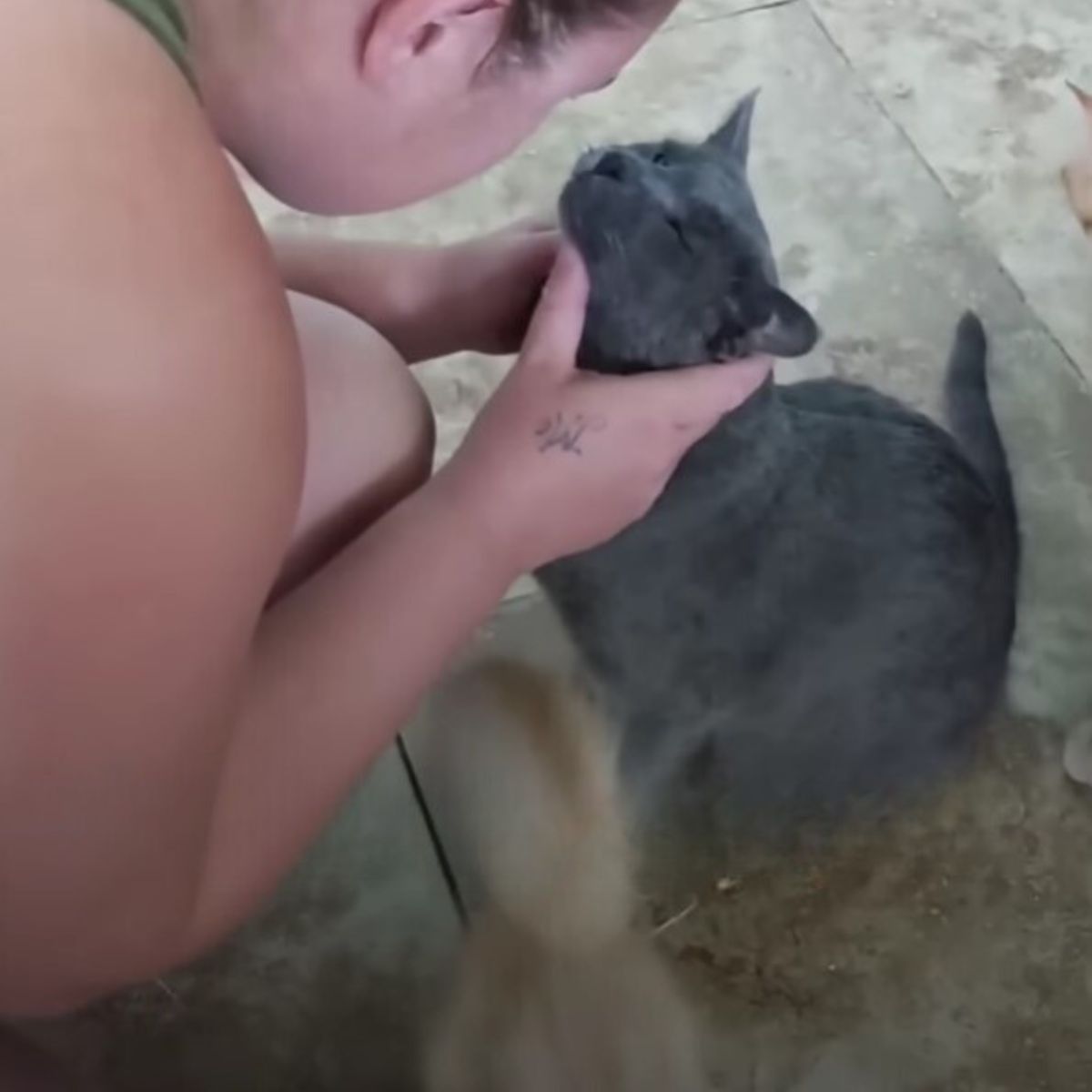 woman cuddling a gray cat