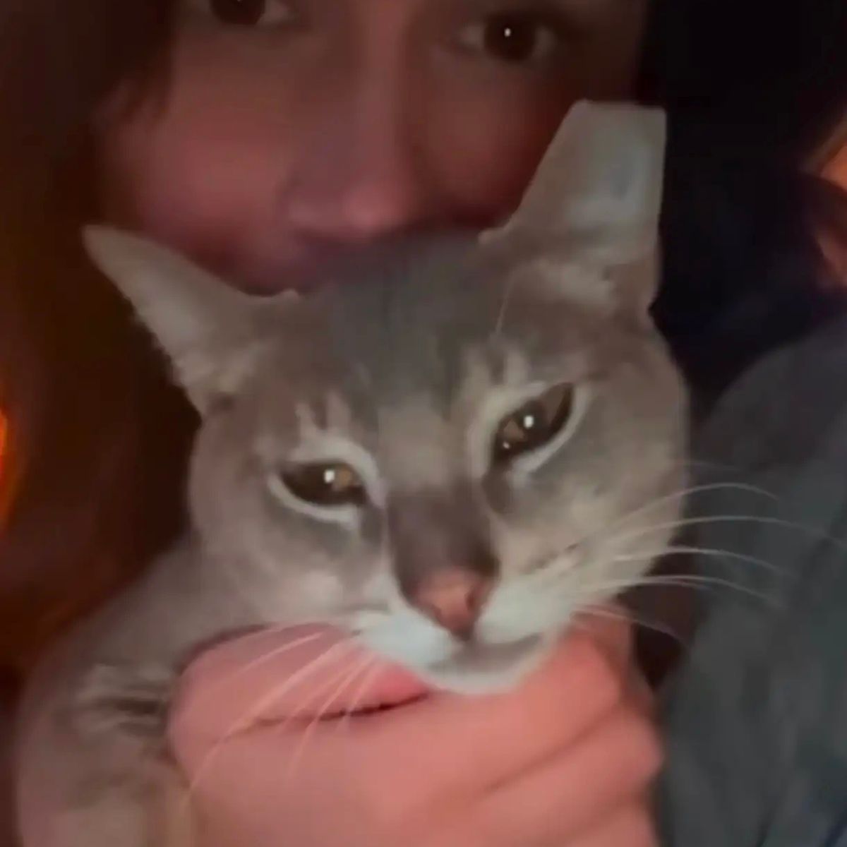 woman cuddling with a cat