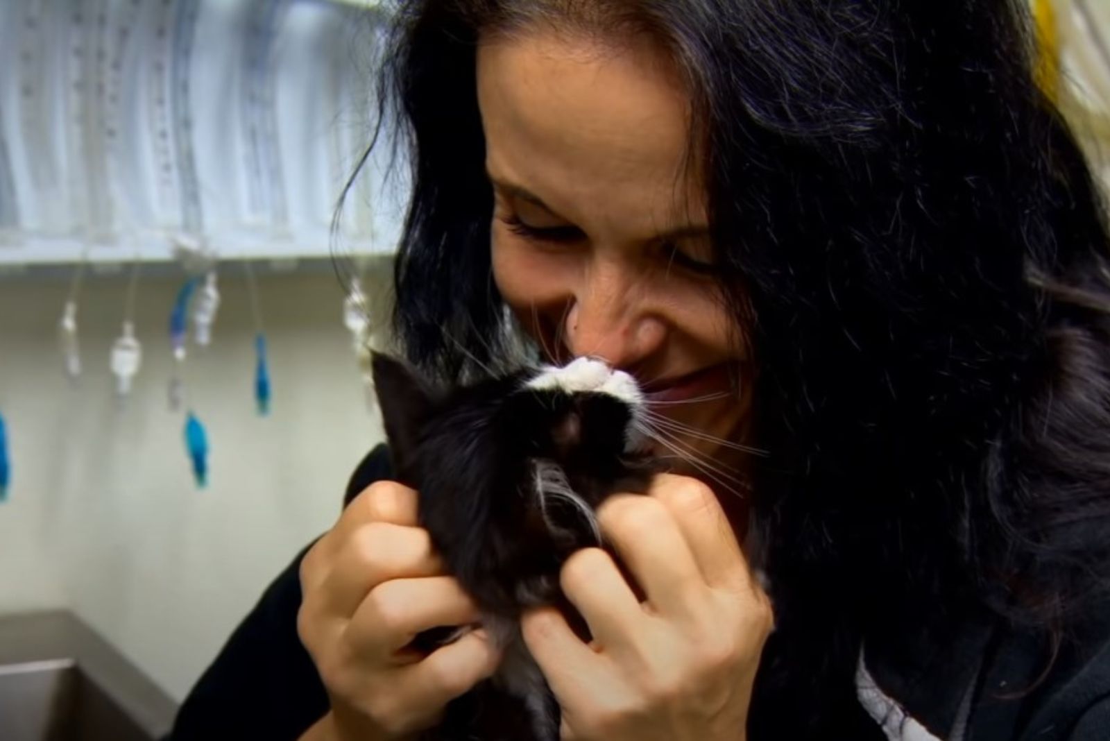 woman cuddling with kitten