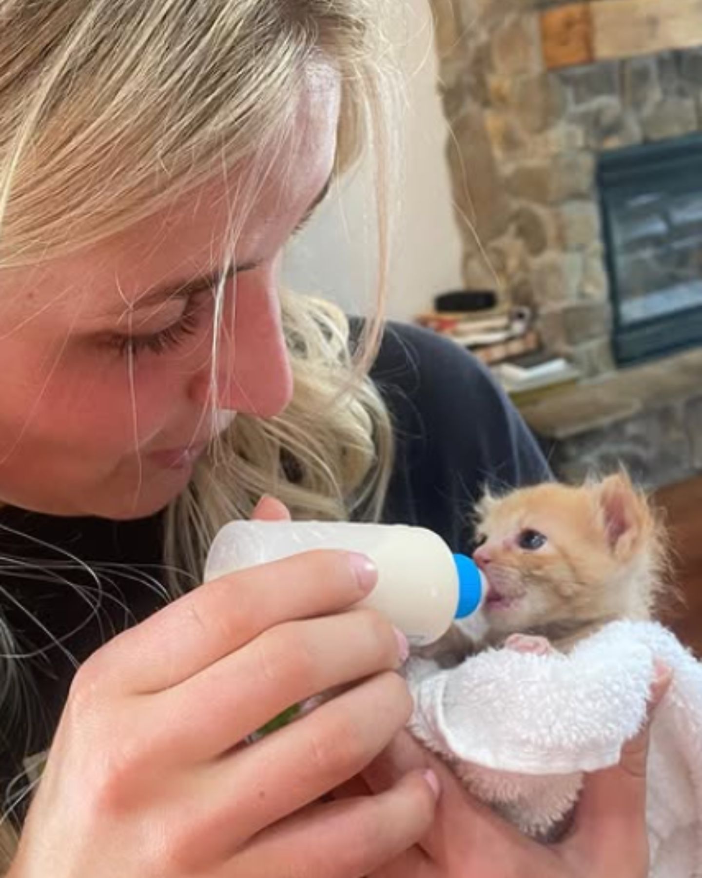 woman feeding the kitten