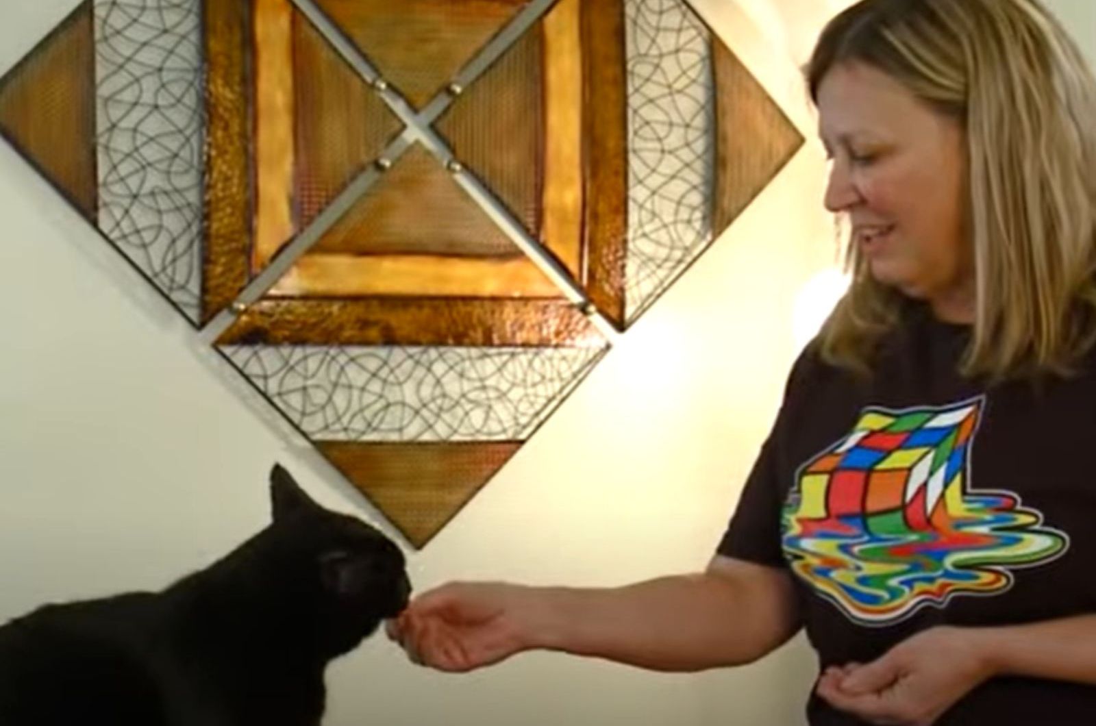 woman feeds a cat from her hand