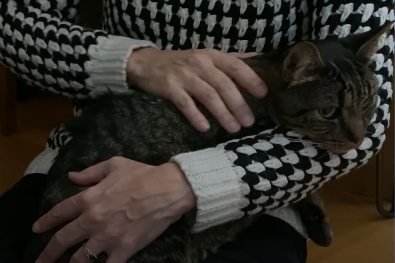 woman holding shy cat