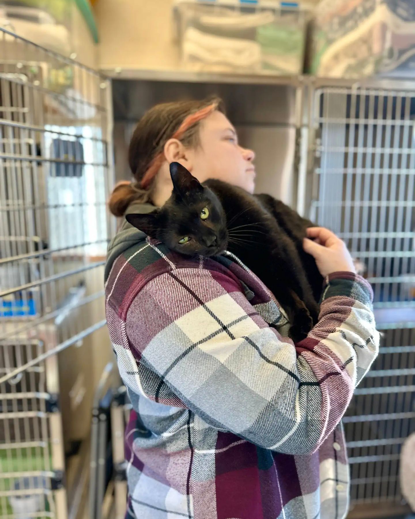 woman holding the cat