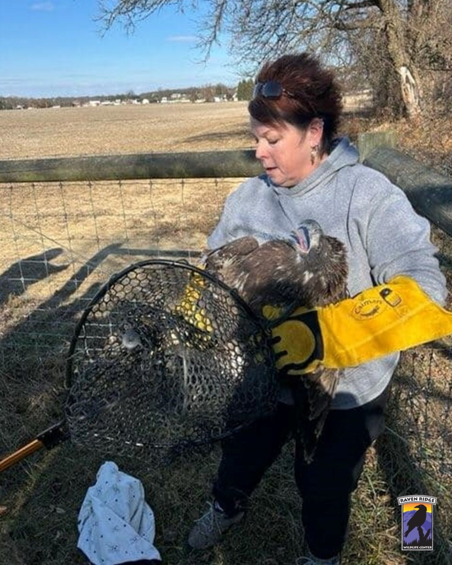 woman holding the eagle