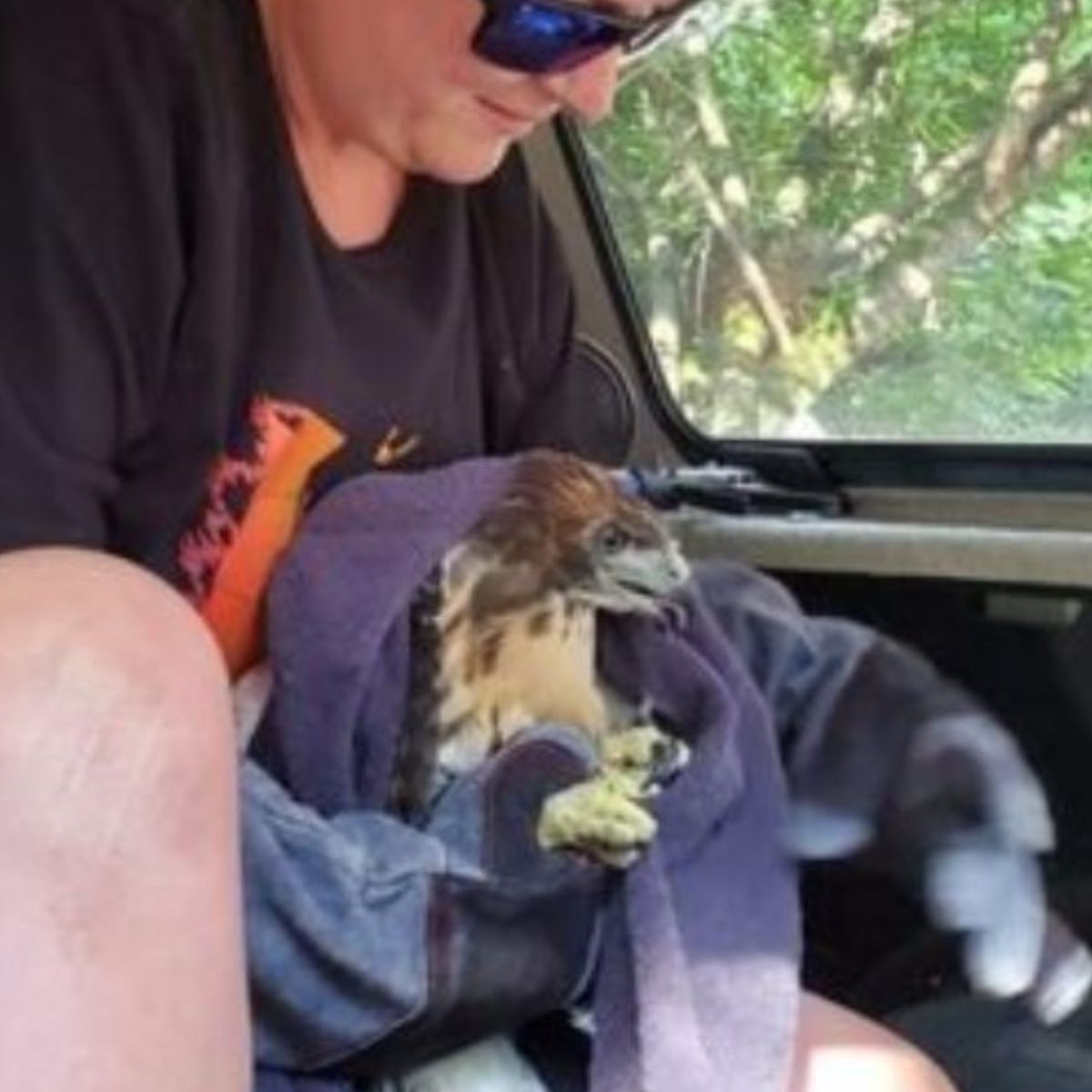 woman holding the hawk