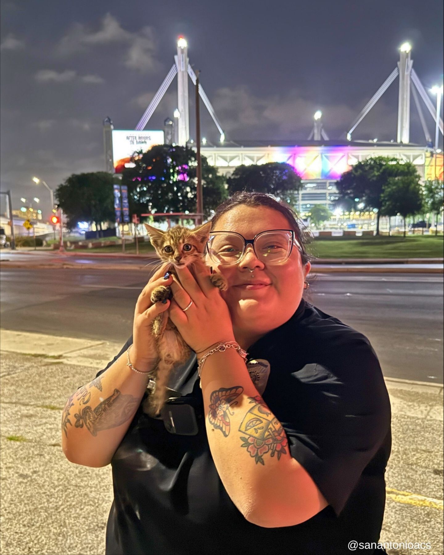 woman holding the kitten
