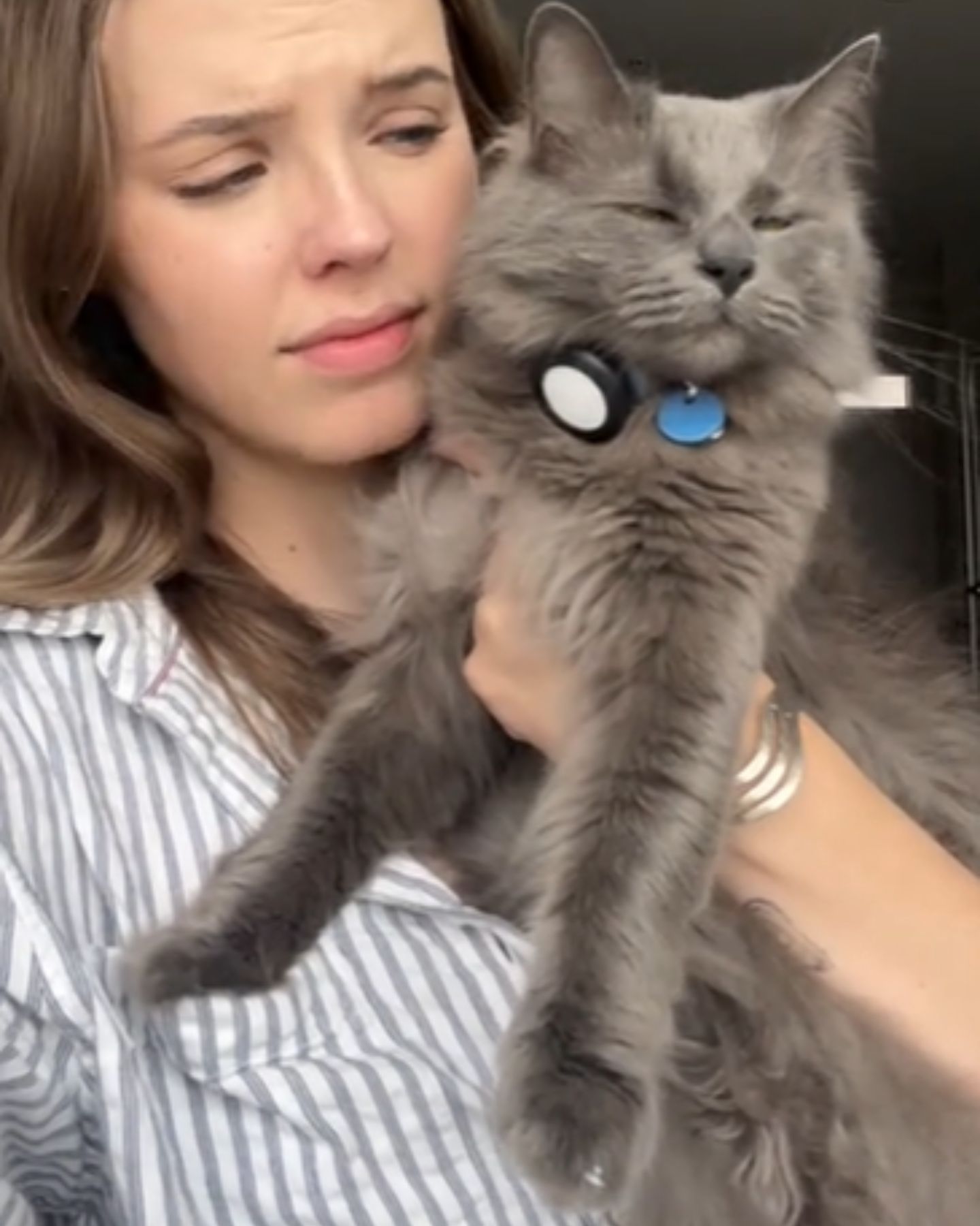 woman is holding a cat