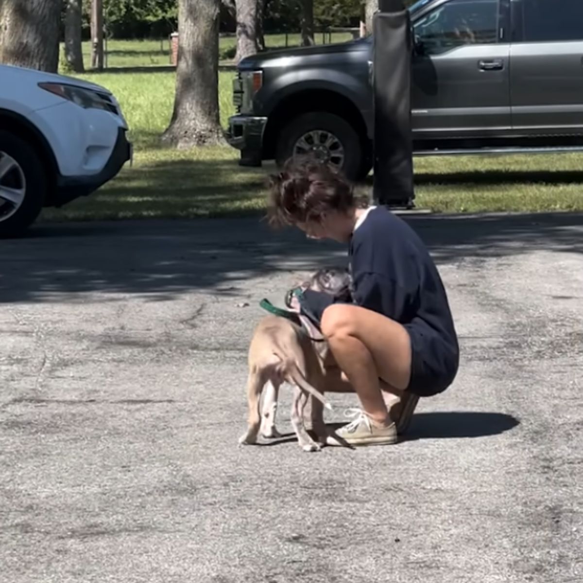 woman is squatting and petting a dog