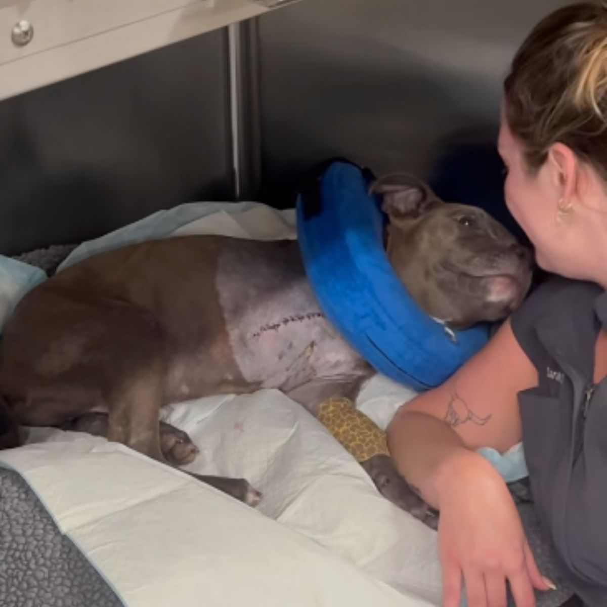 woman looking at the pup