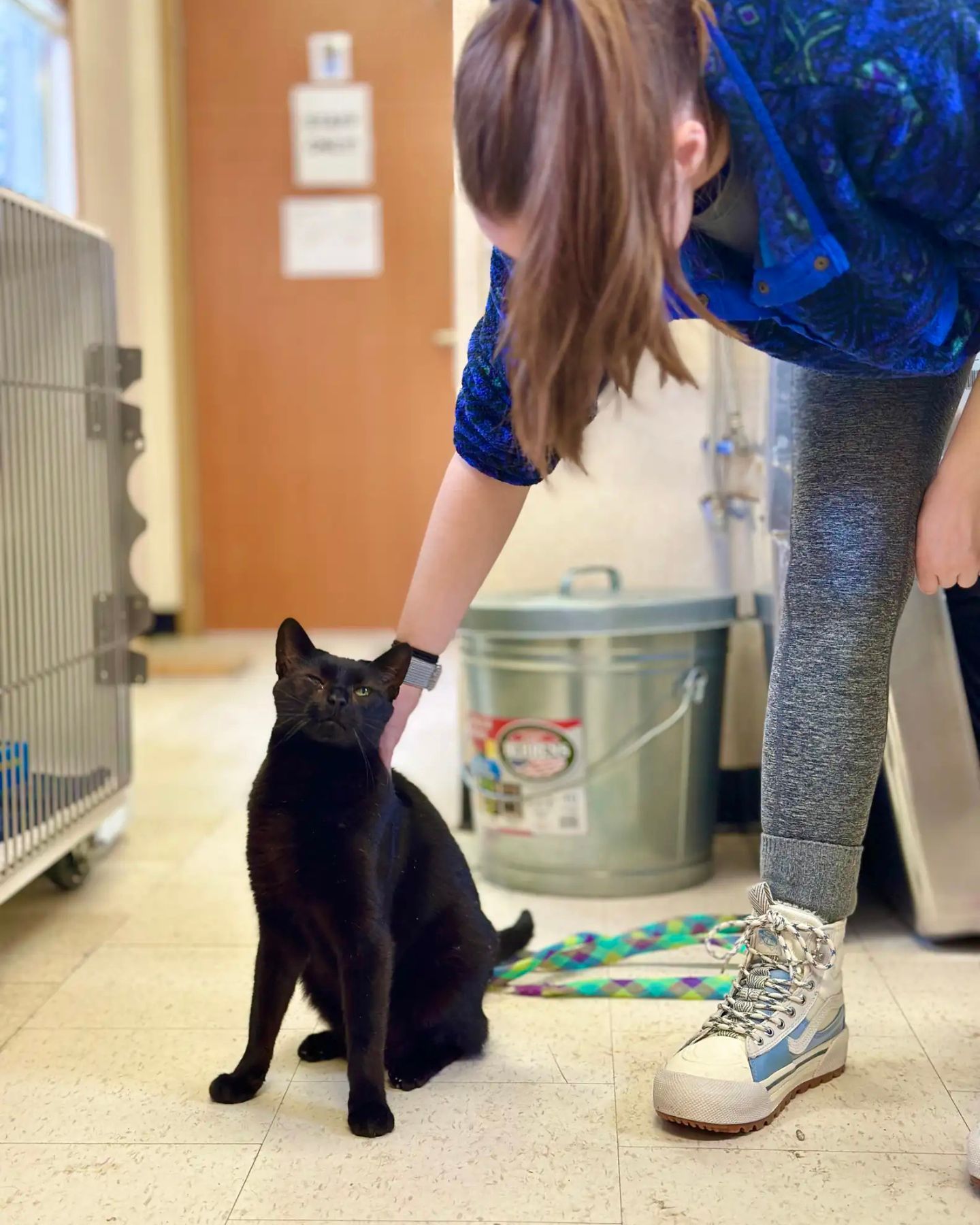 woman petting the cat
