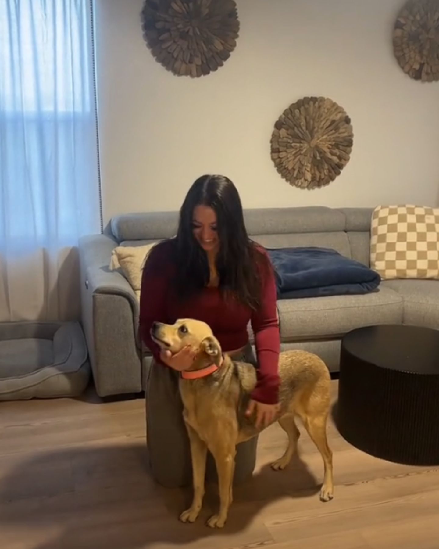 woman petting the dog