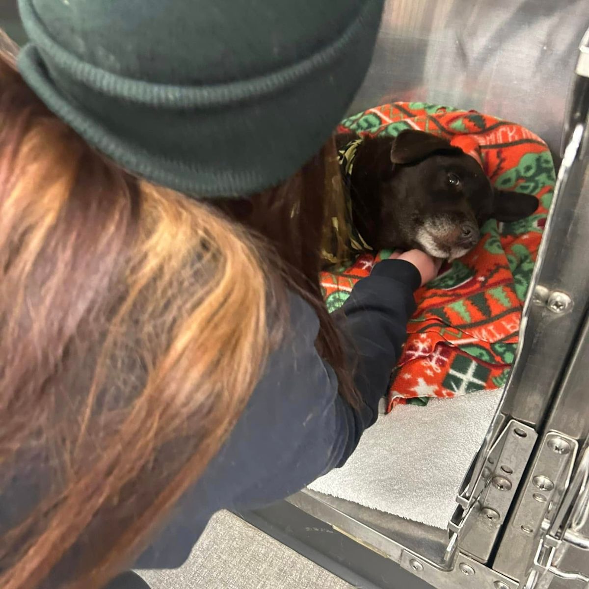 woman petting the dog