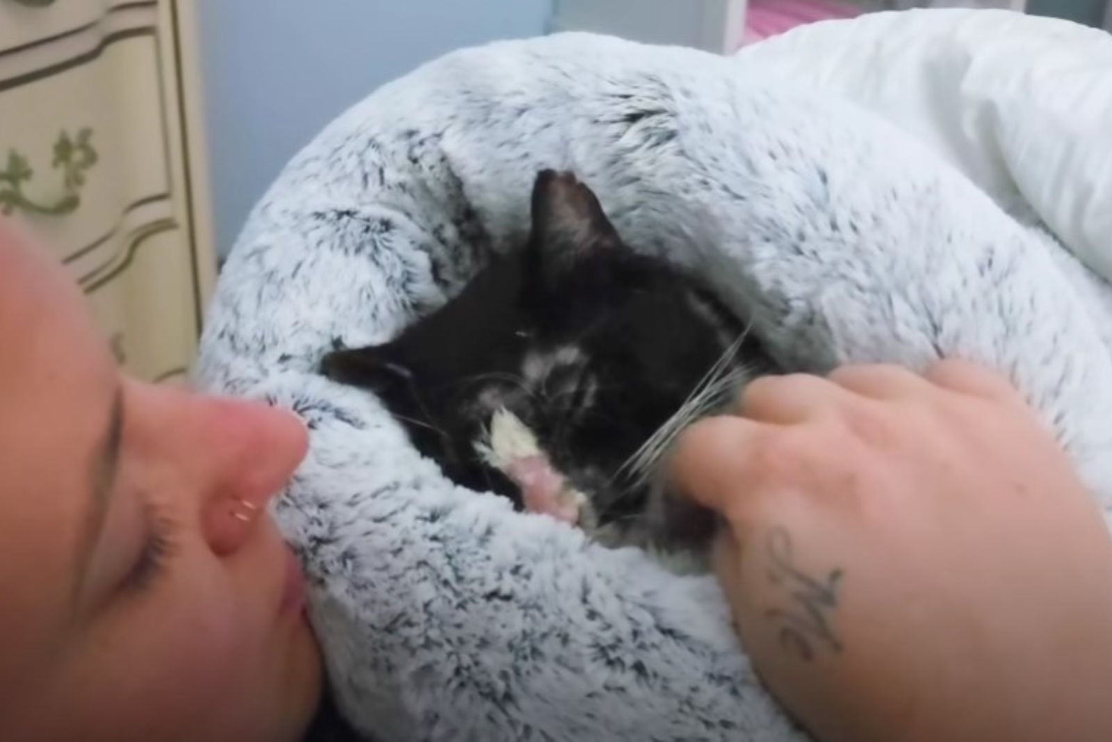woman petting the injured cat