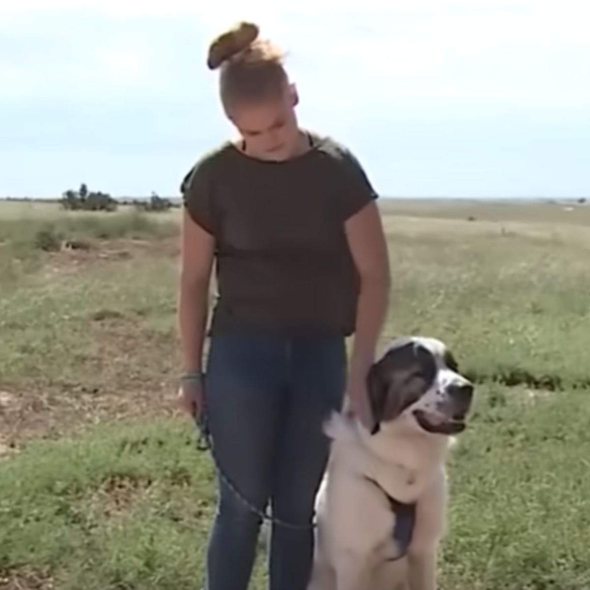 woman walking a dog on a leash