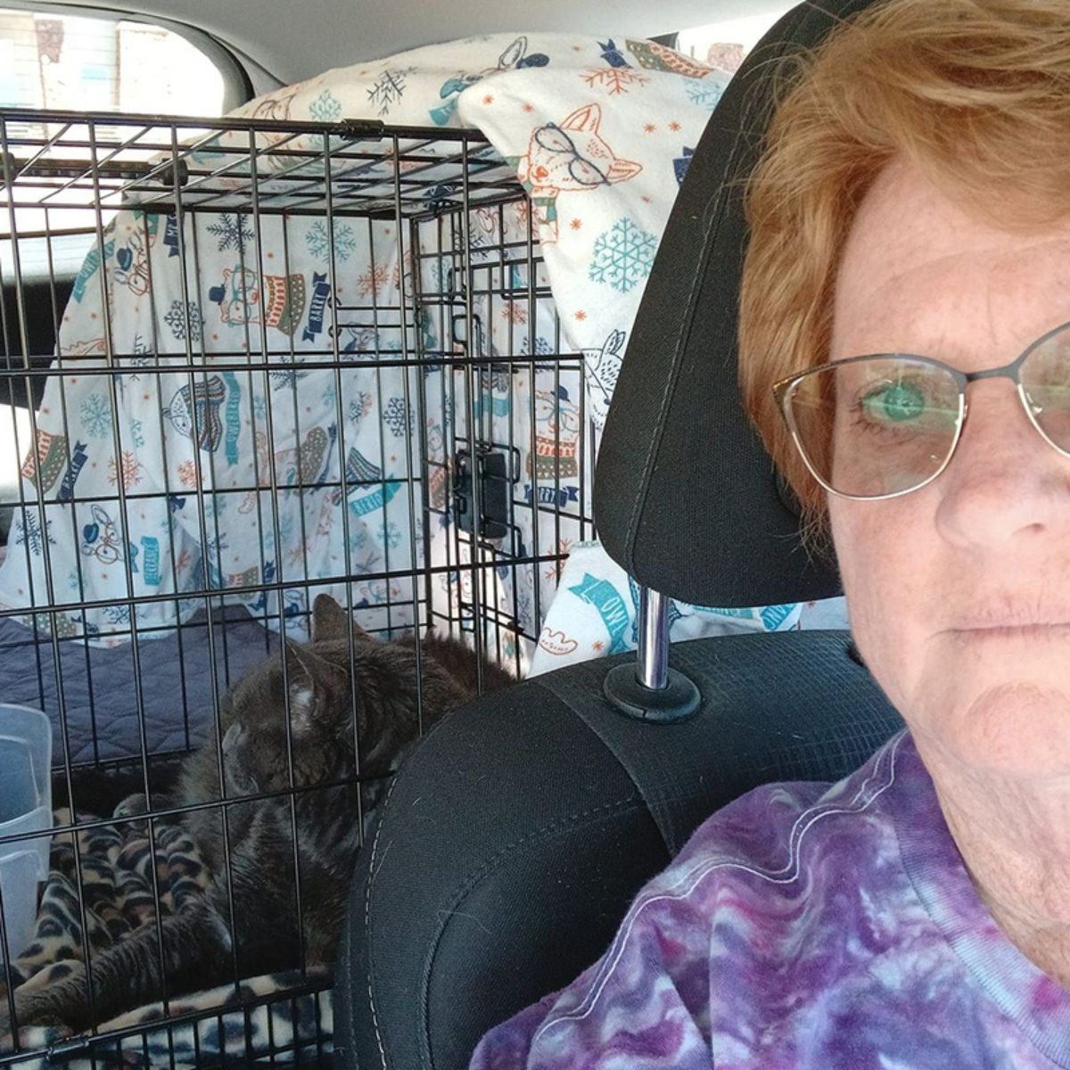 woman with a cage and a cat in the car