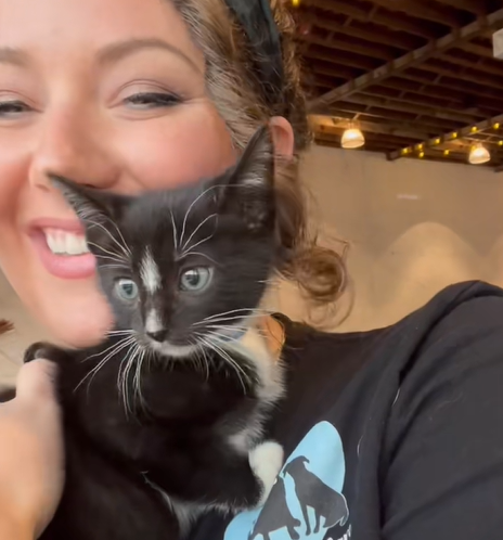 woman with a cute kitten