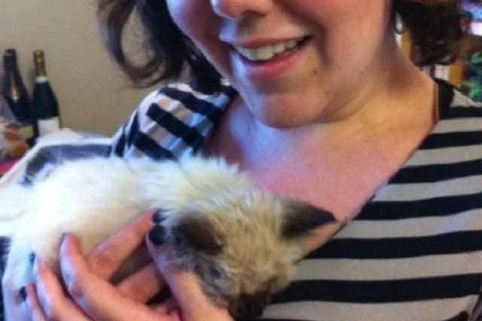 woman with a rescued kitten from the street
