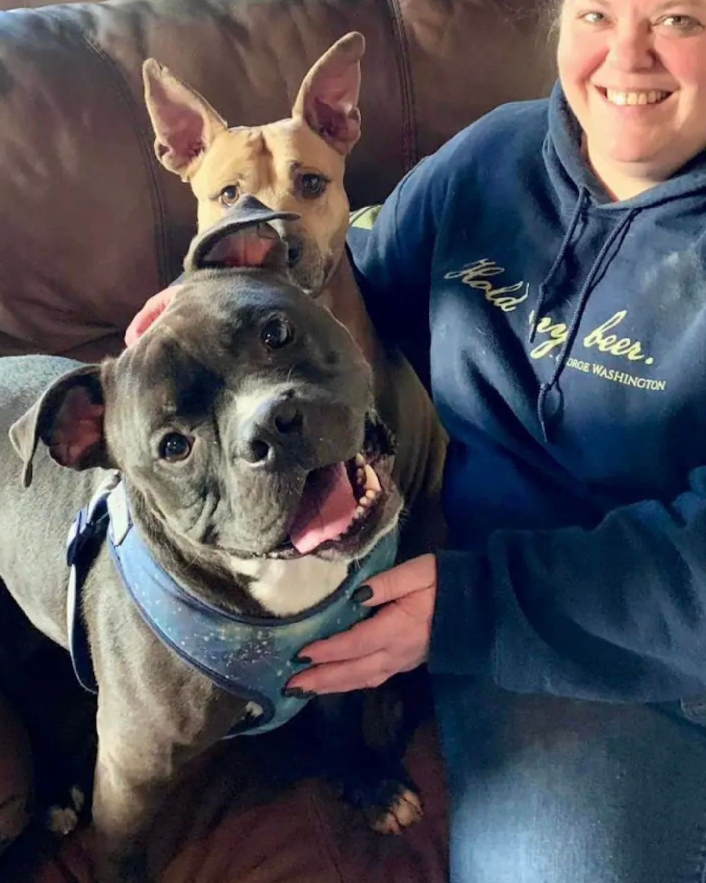 woman with two dogs